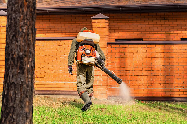 Trusted Mosquito Control service in Slaughterville, OK - Nex Pest Control